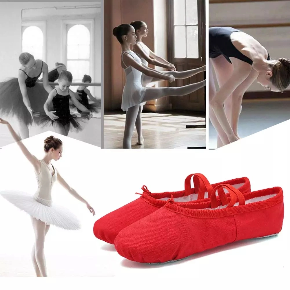 Women Elastic Canvas Dance Shoes Ballet